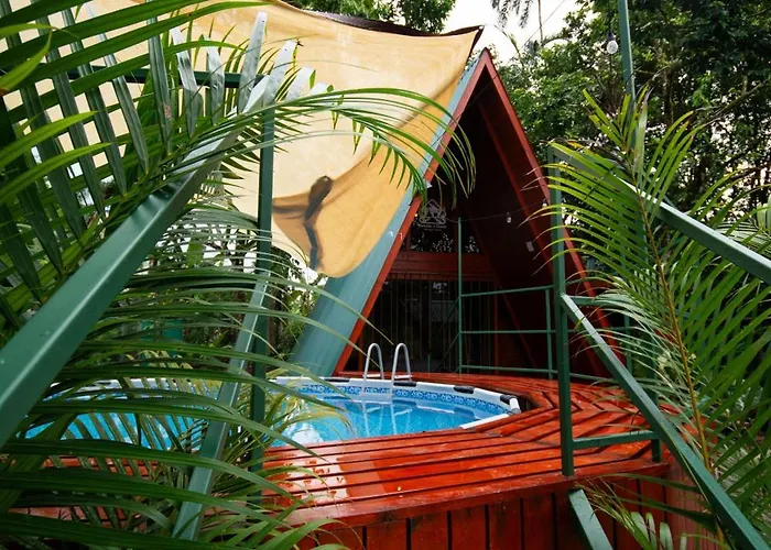 Betulio\'S Oasis