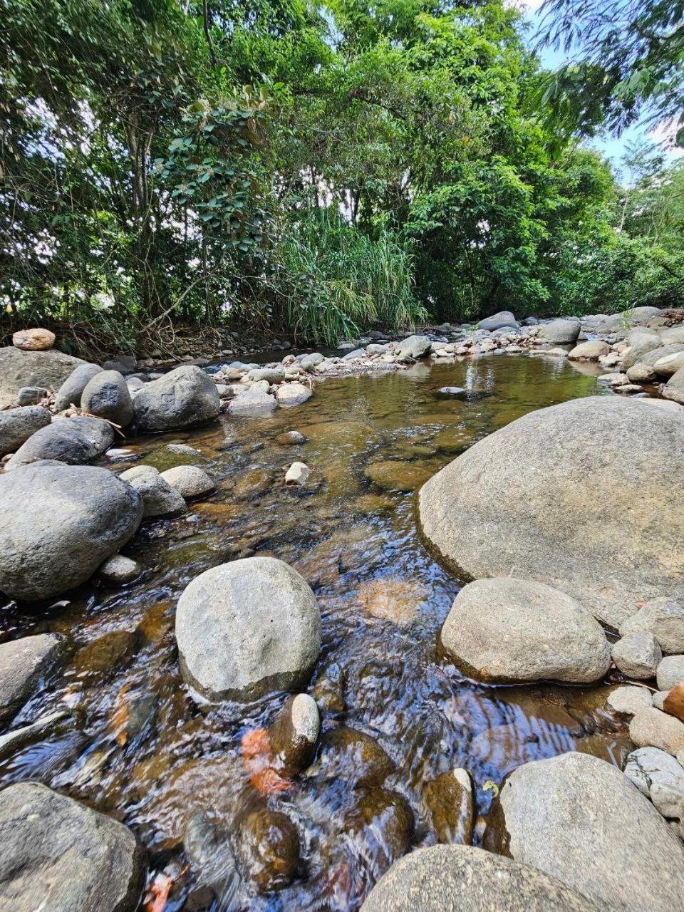 Betulio's Oasis * La Fortuna