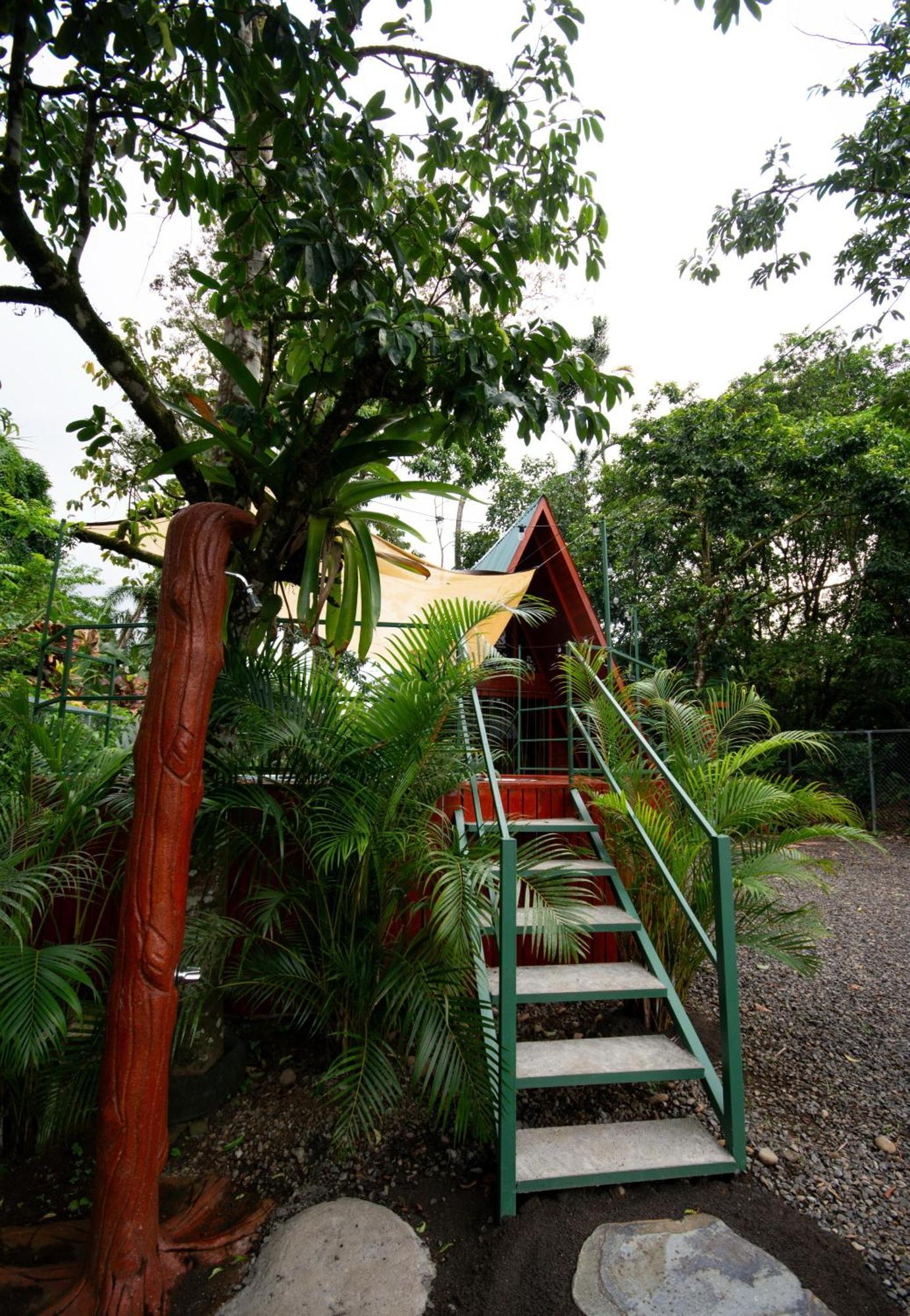 Betulio's Oasis Chalet