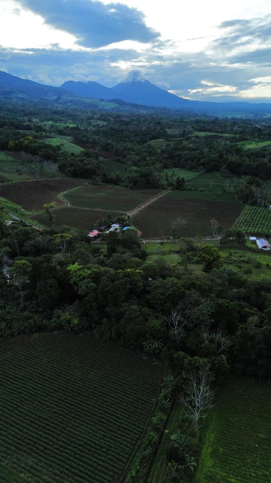 Chalet Betulio's Oasis La Fortuna